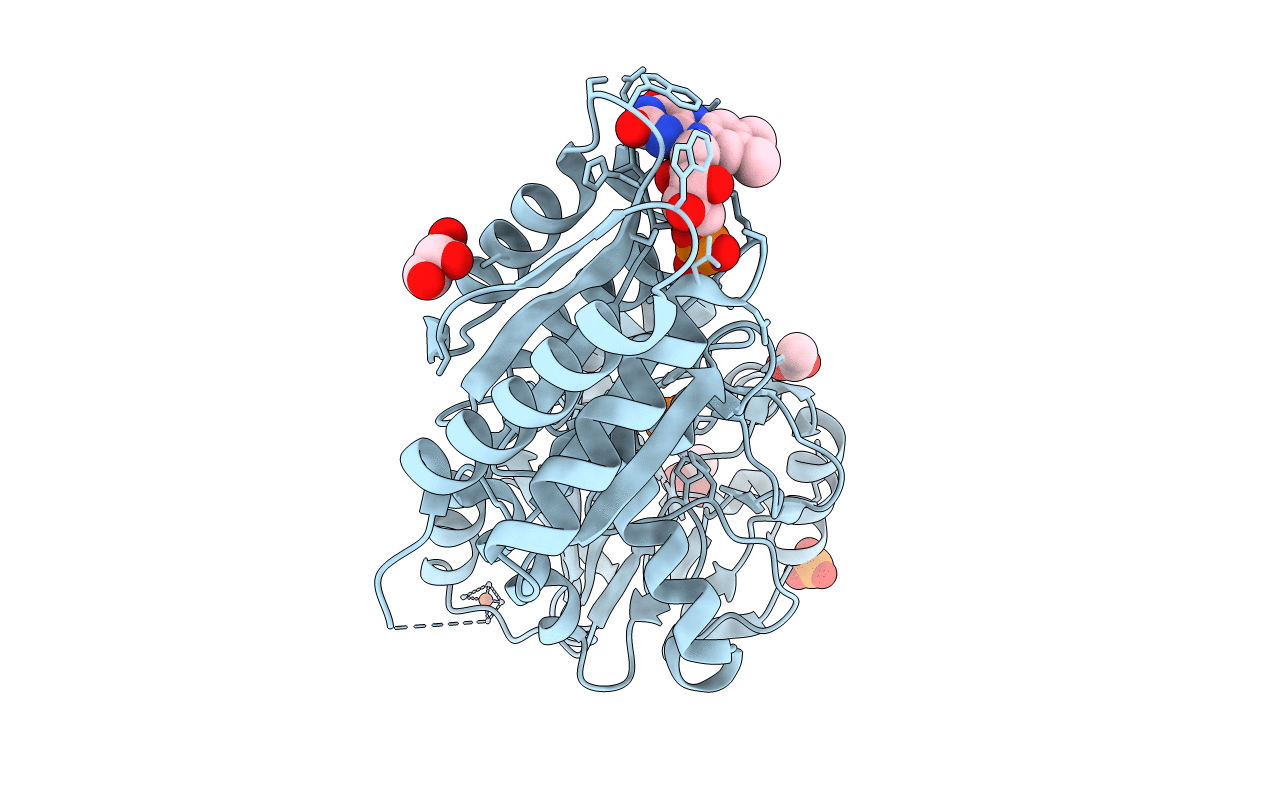 5LMC image