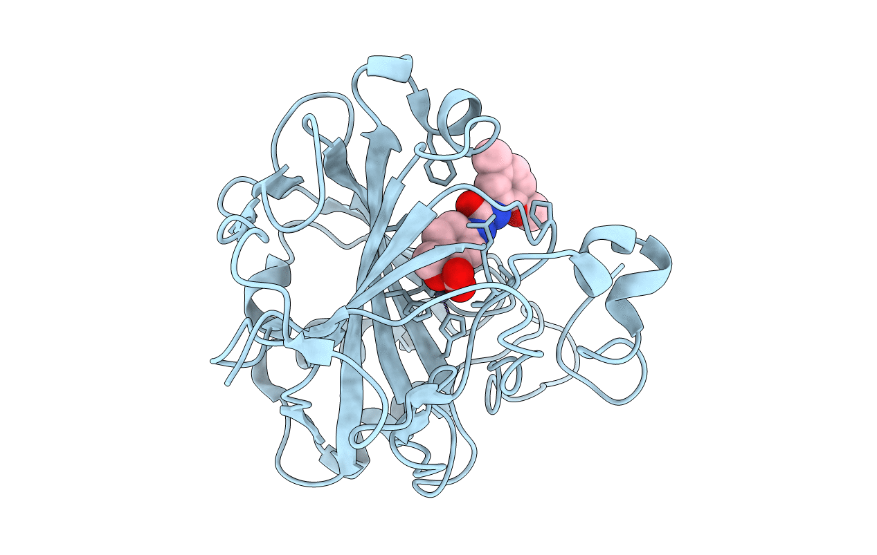 5LMD image