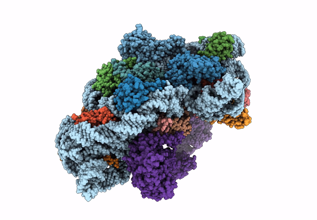 5LMV image