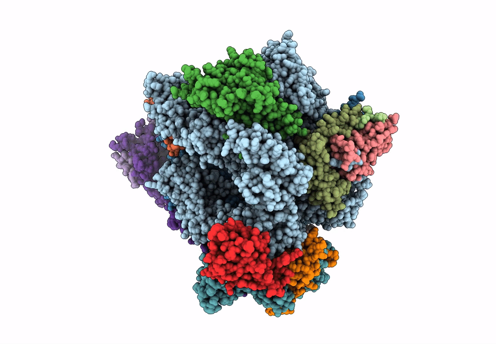 5LMX image