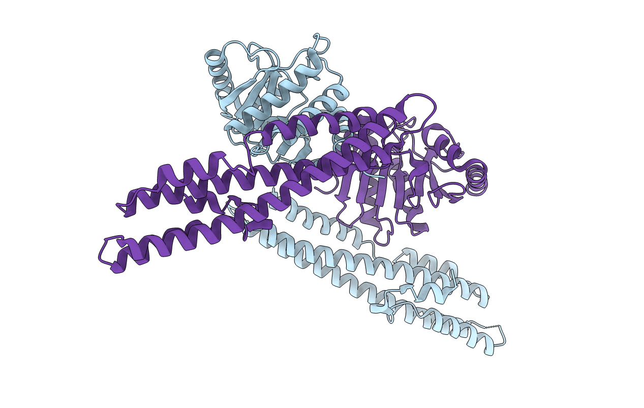 5LNC image