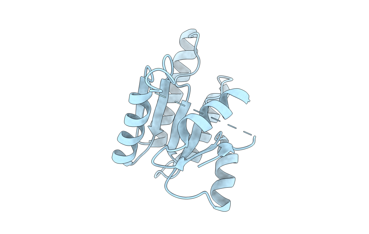 5LNN image