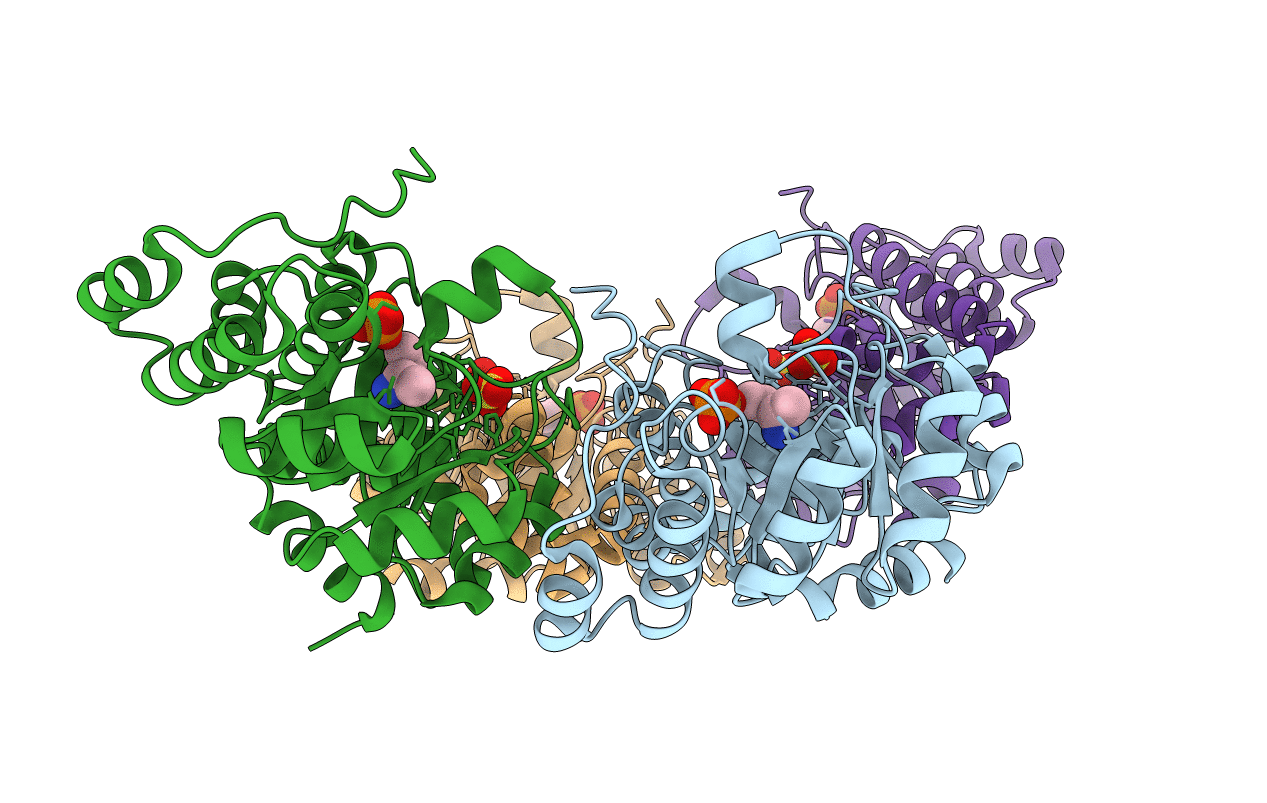 5LNV image
