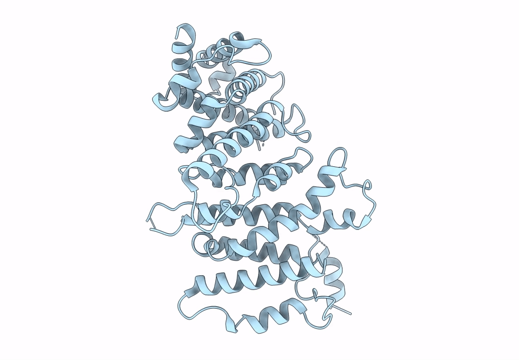 5LOI image