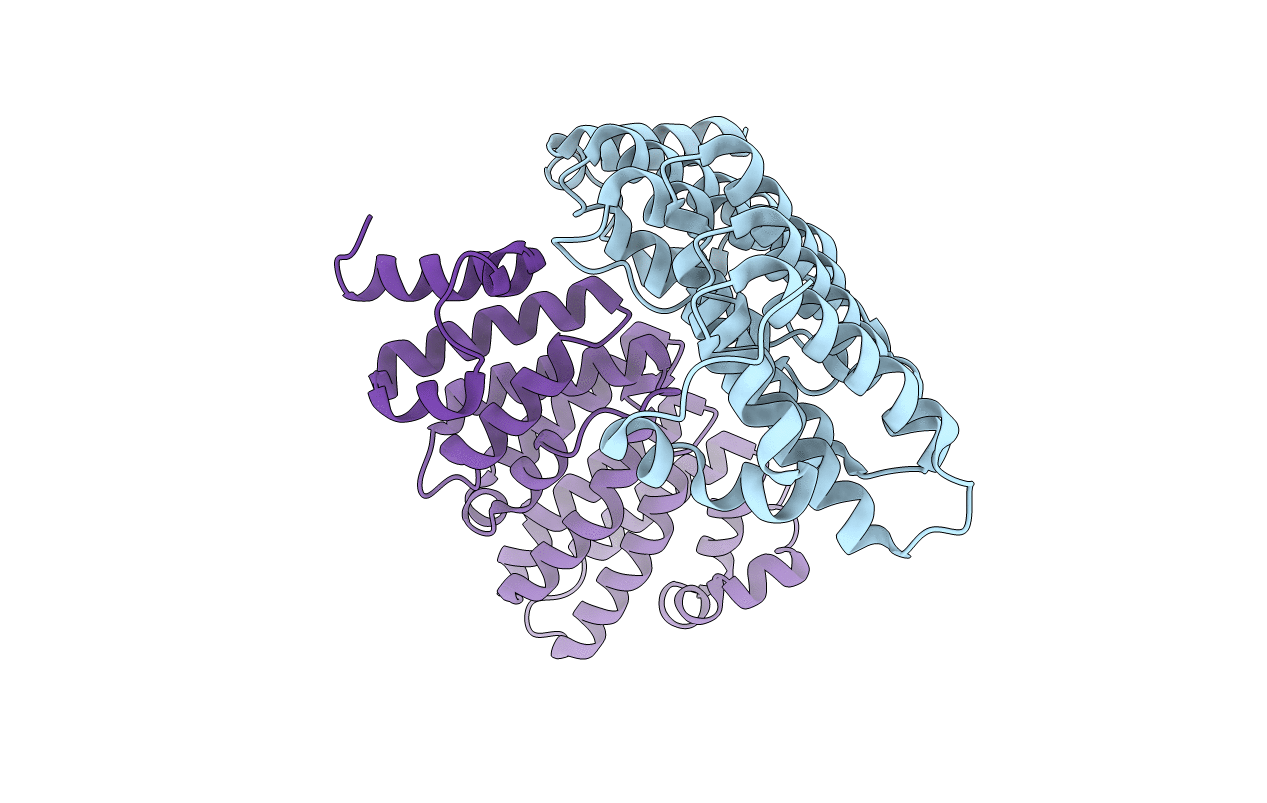 5LPH image