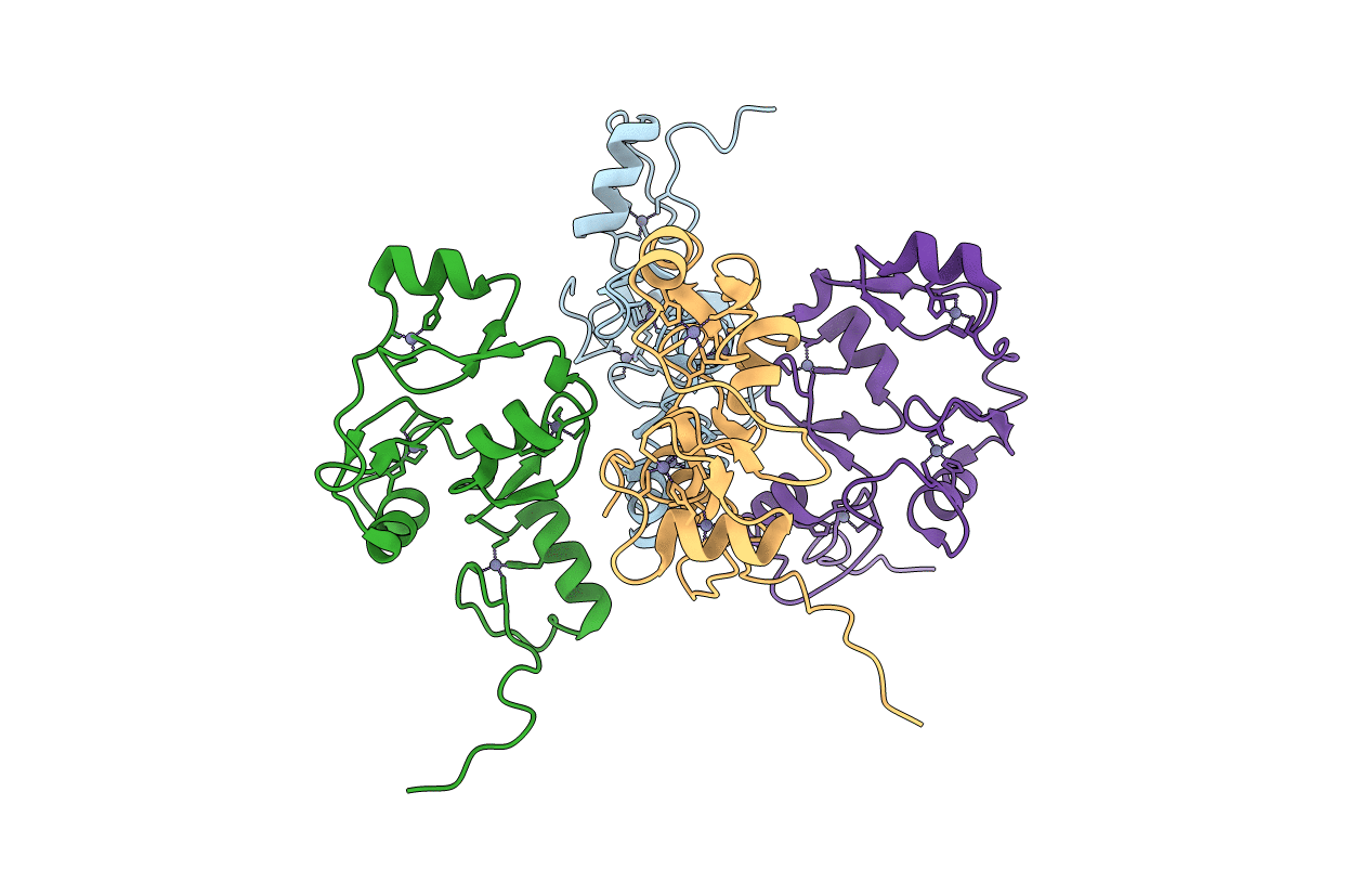 5LPI image