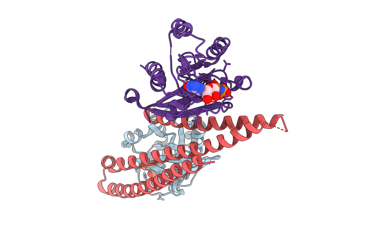 5LPN image