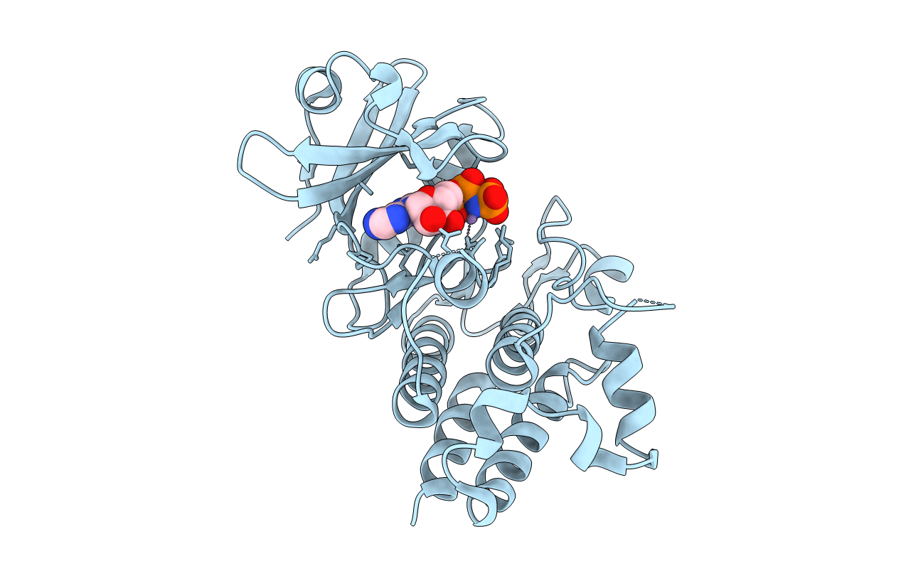 5LPV image