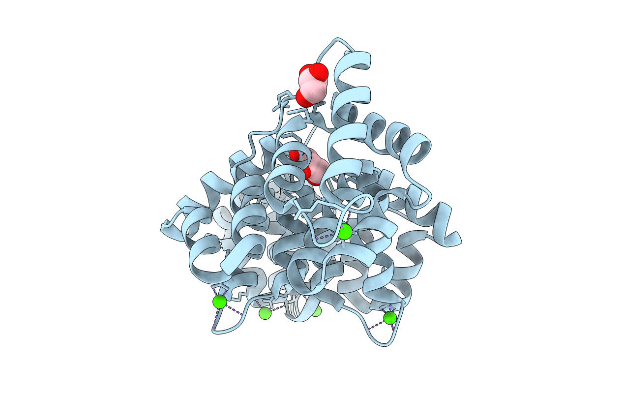 5LPX image