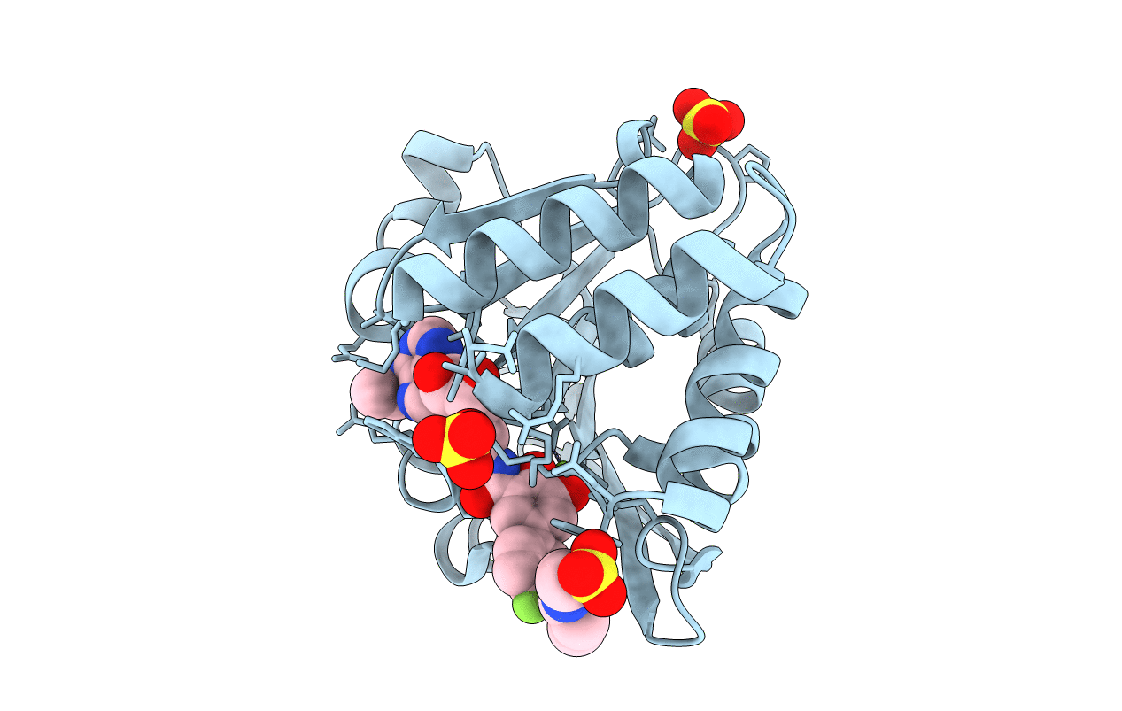 5LQA image