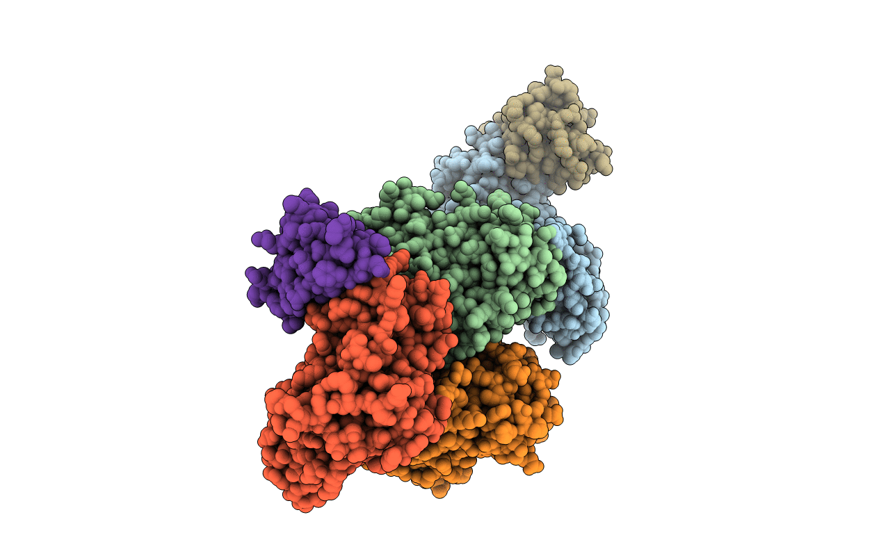 5LQF image