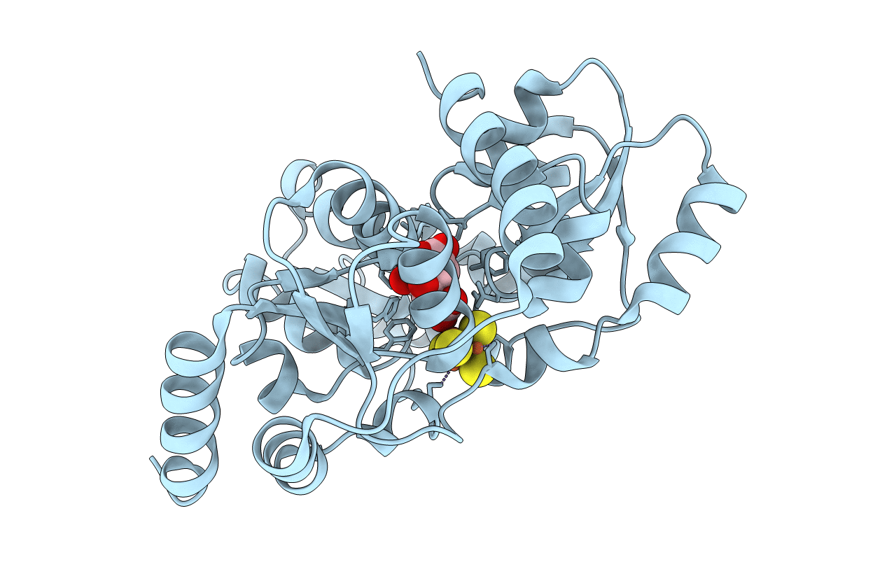 5LQM image