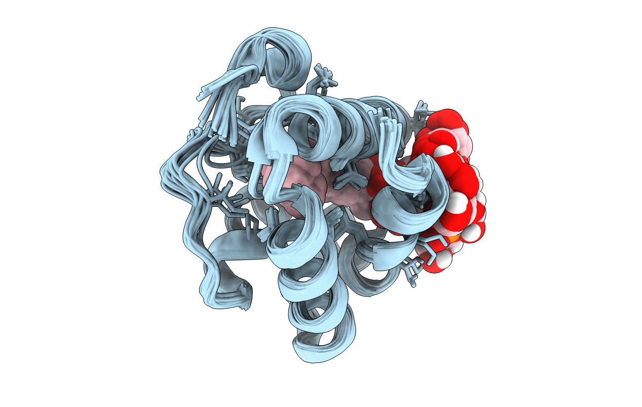 5LQV image