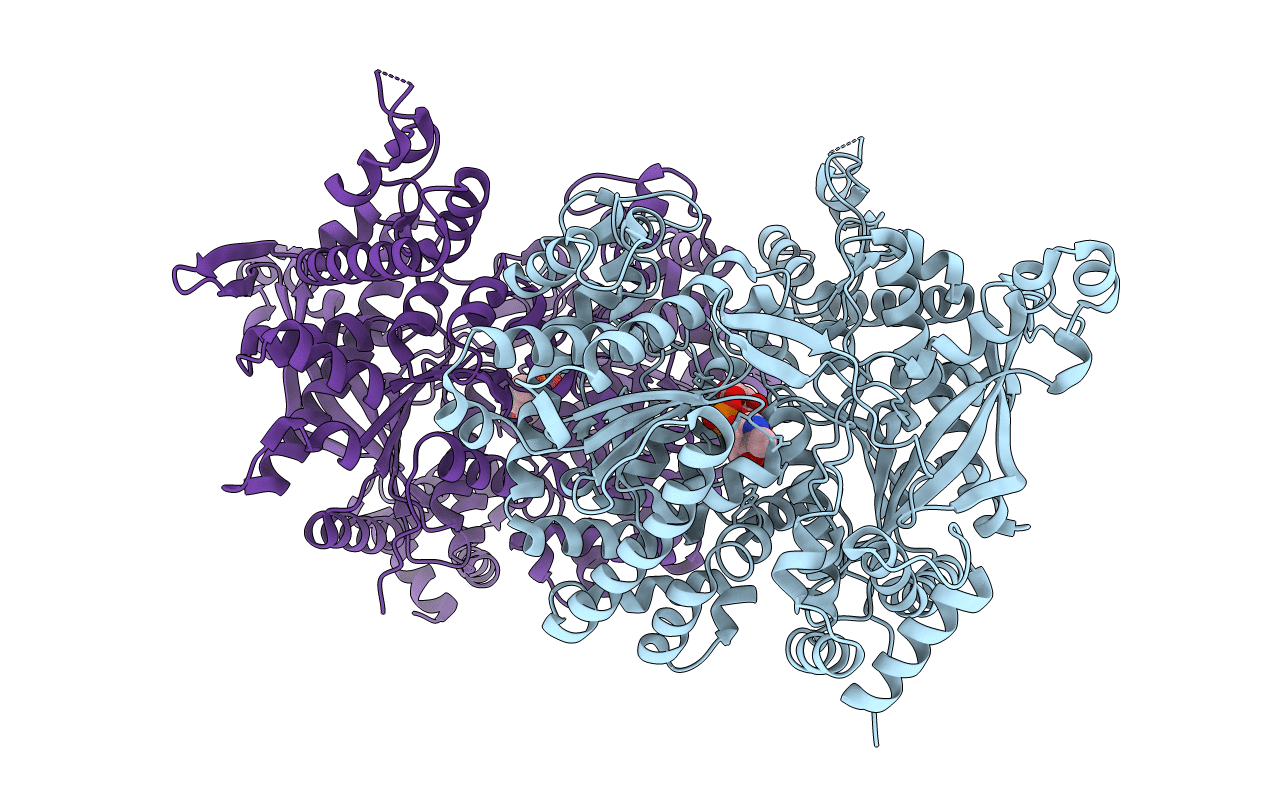 5LR8 image