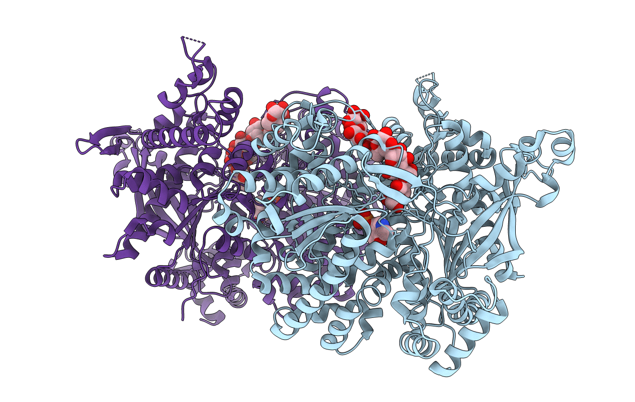 5LRA image