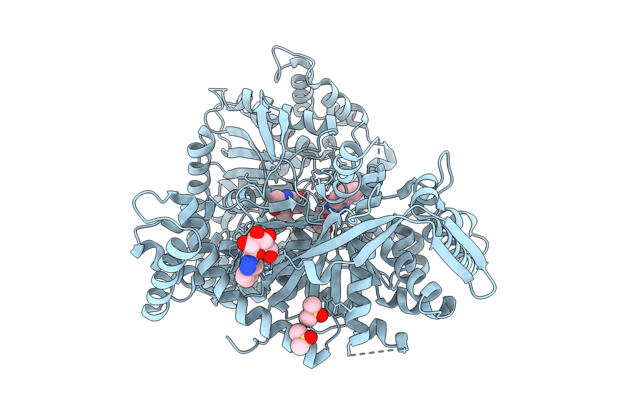 5LRE image