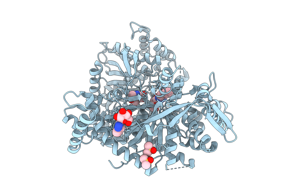 5LRF image