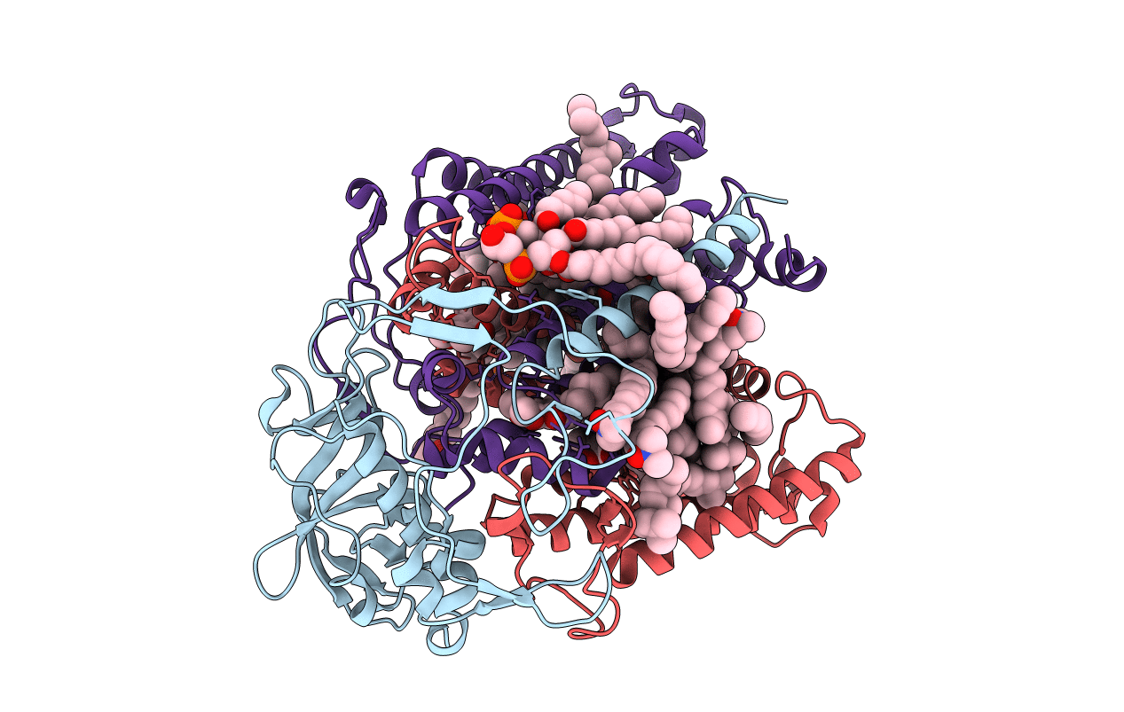 5LRI image