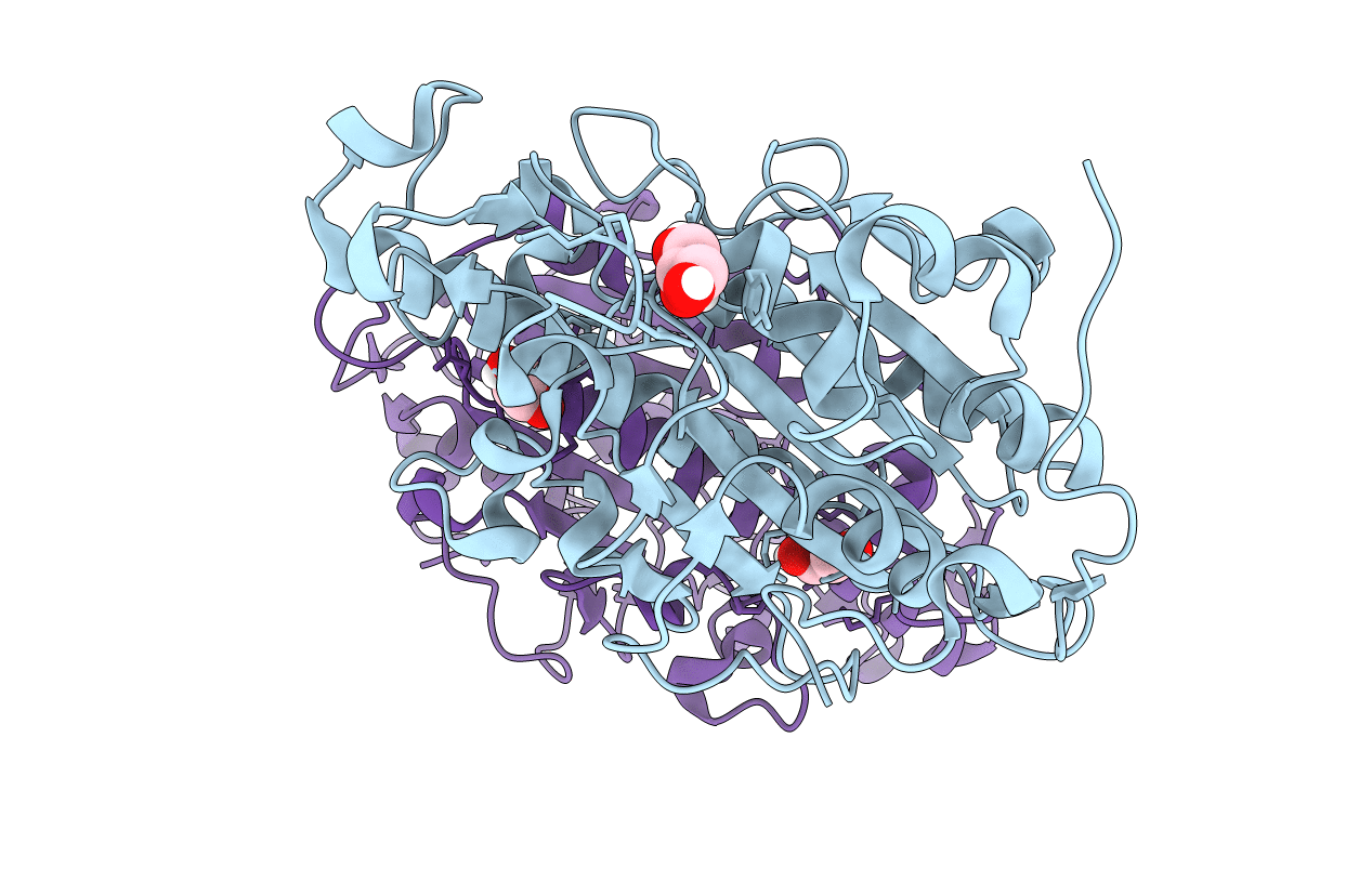 5LRN image
