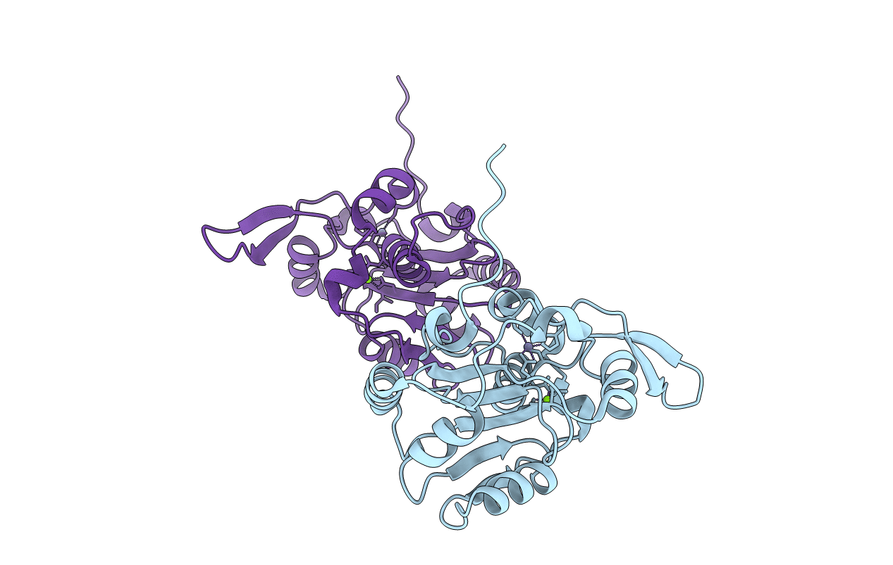 5LRP image