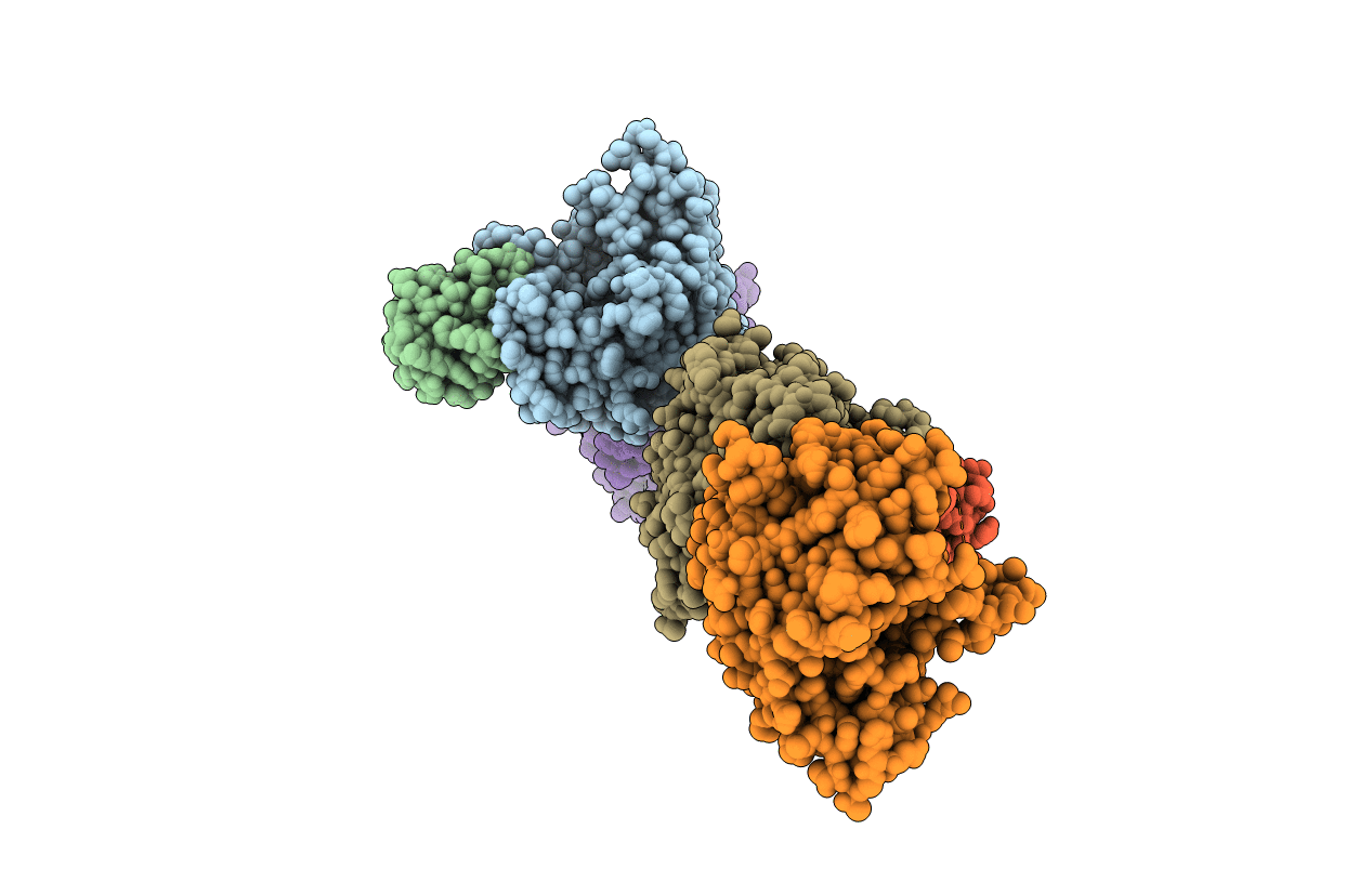5LRX image