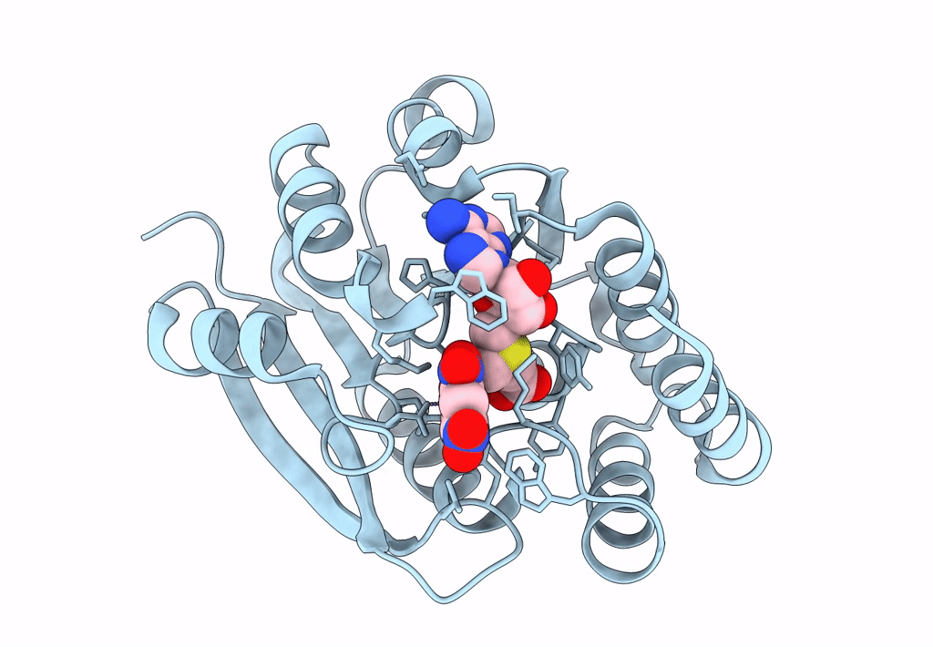 5LSA image