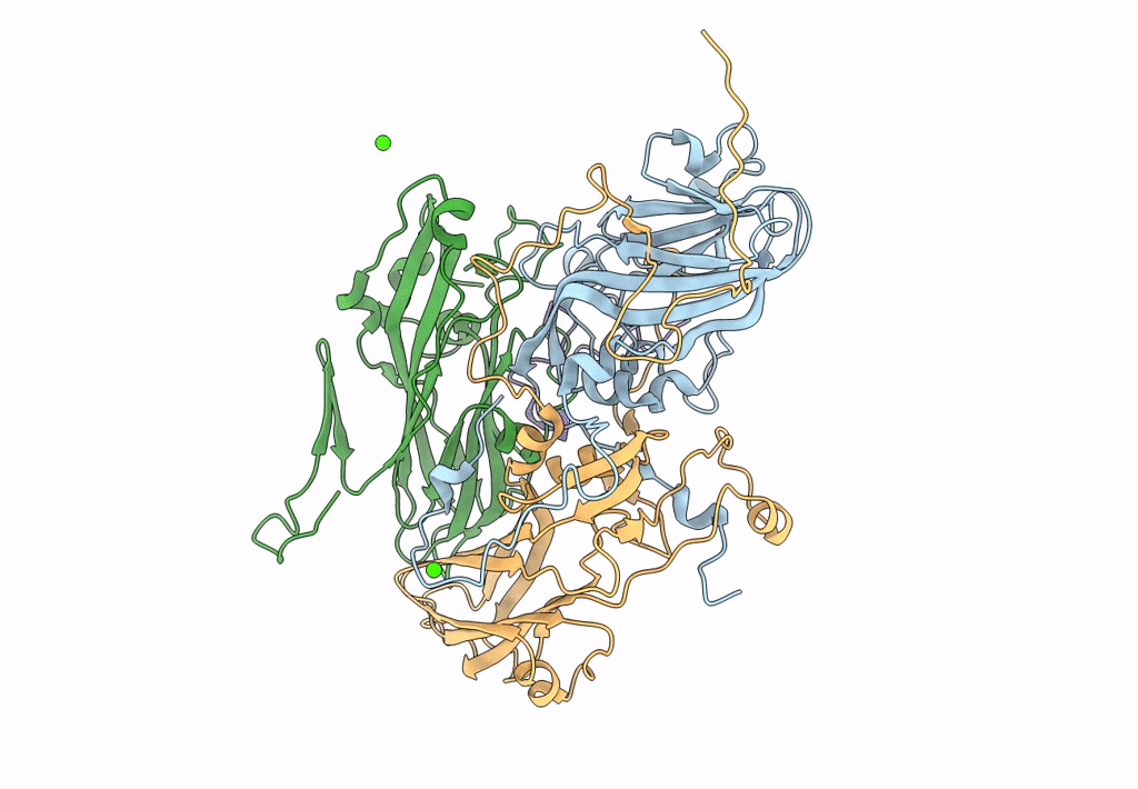 5LSF image