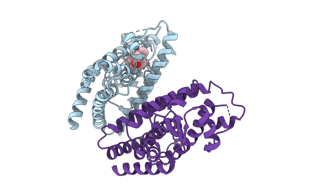 5LSG image