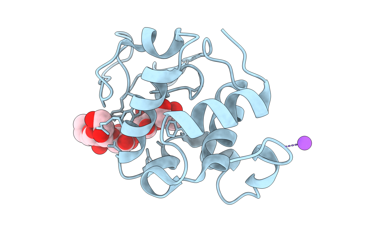 5LSH image