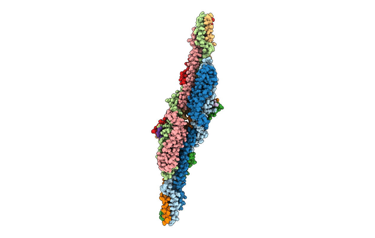 5LSJ image