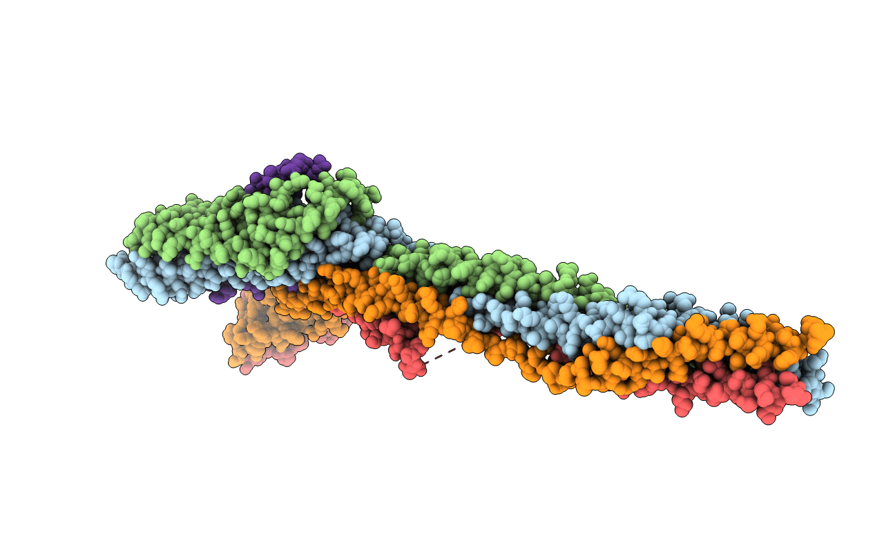 5LSK image