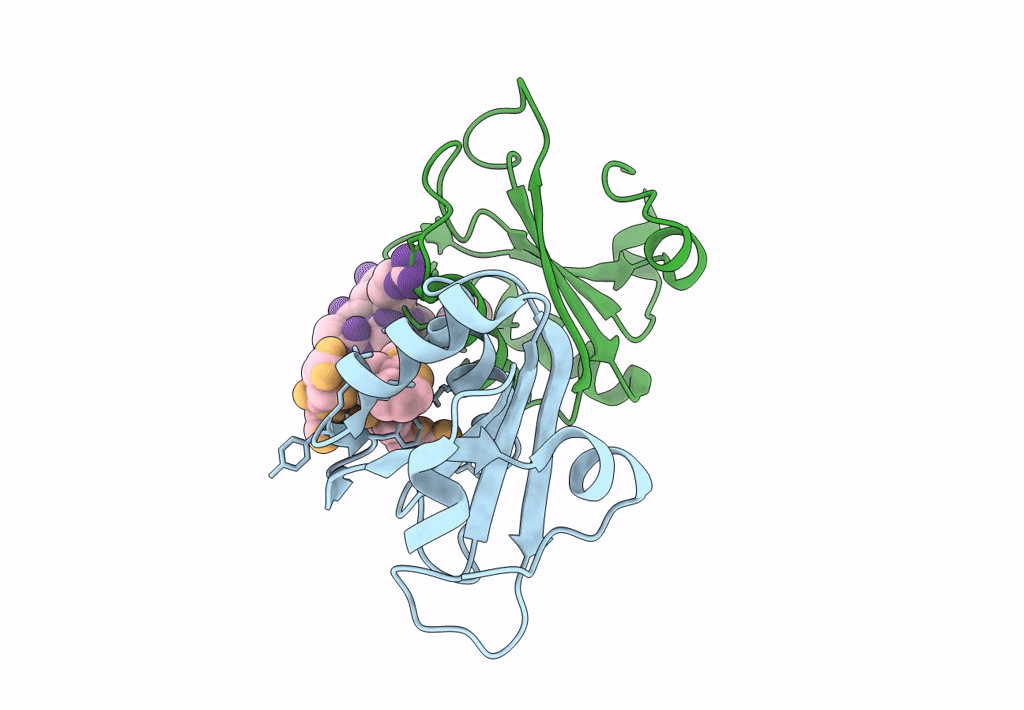 5LSO image