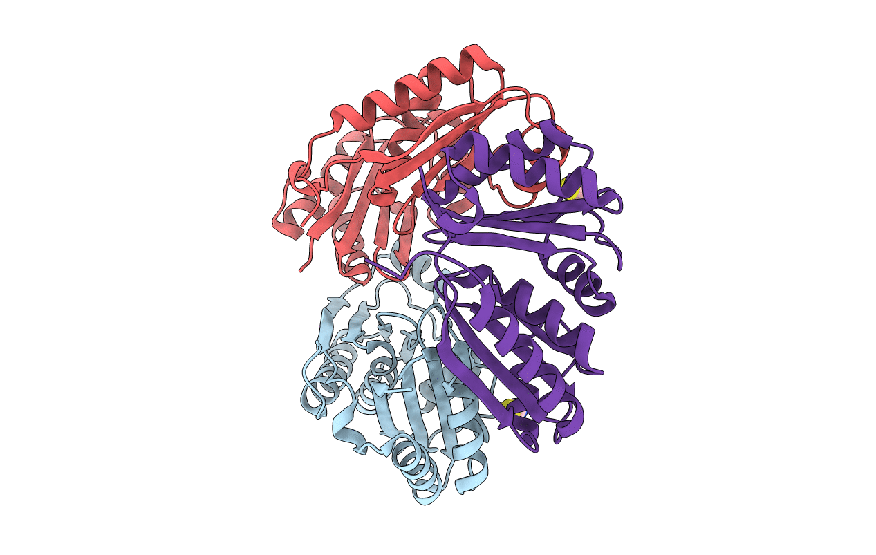 5LSR image
