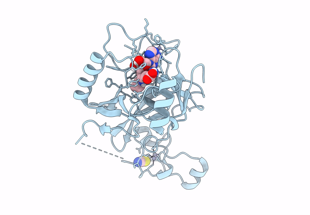 5LSS image
