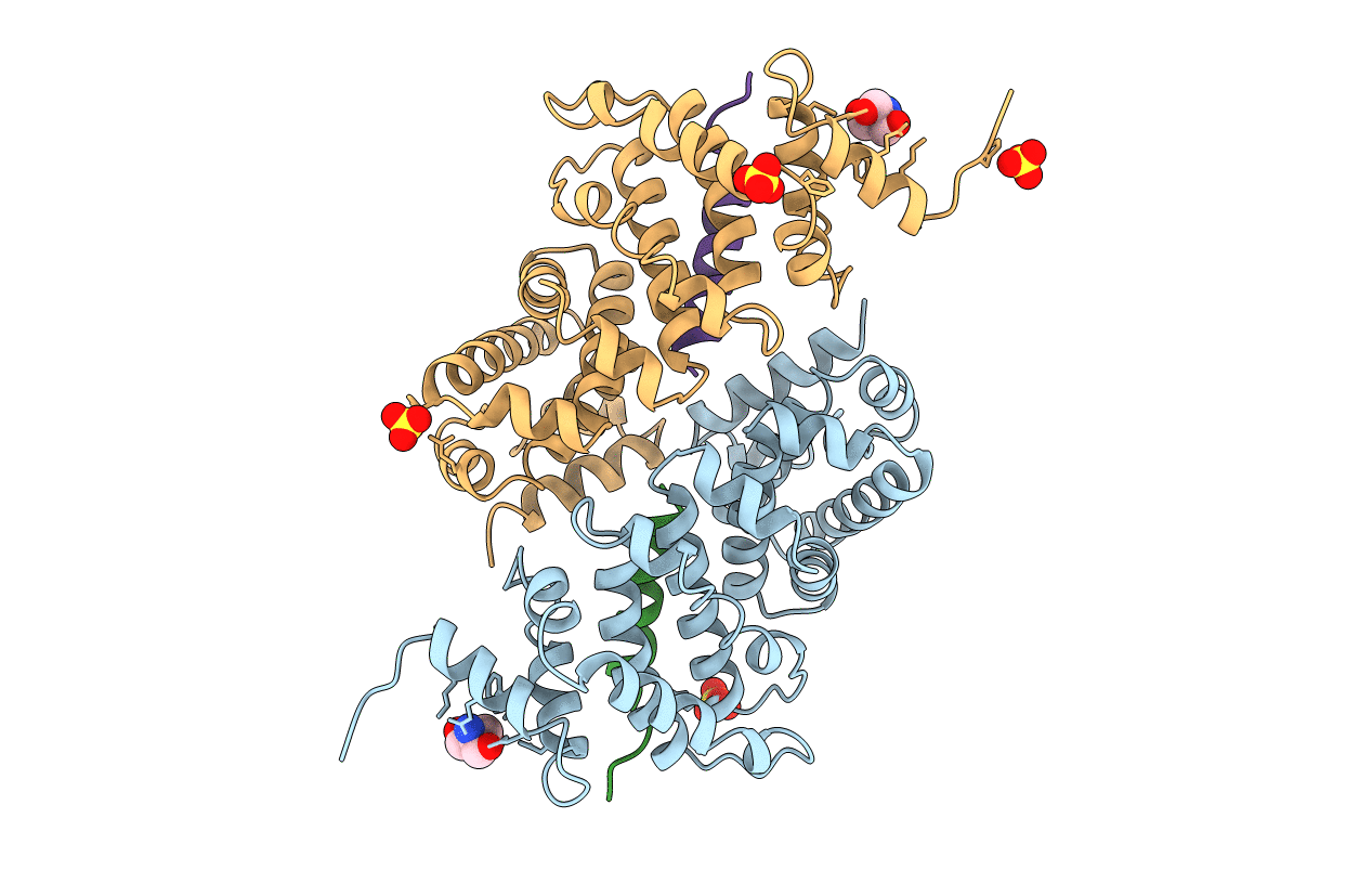 5LSW image