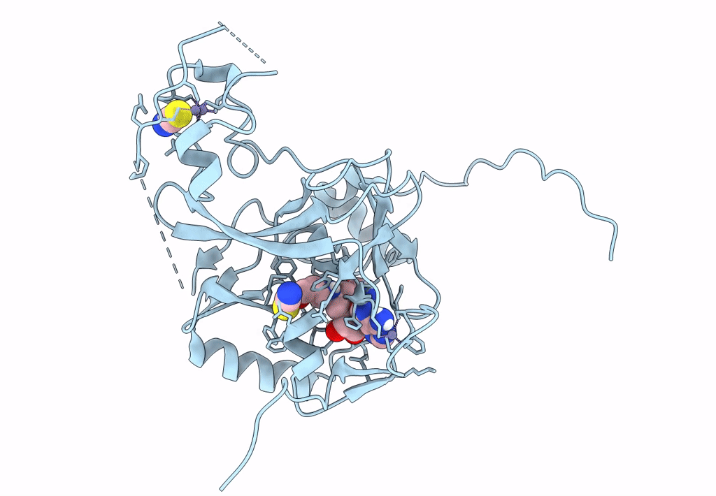 5LSZ image
