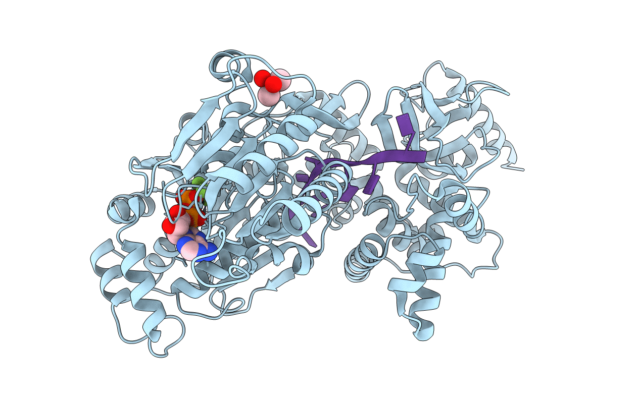 5LTA image