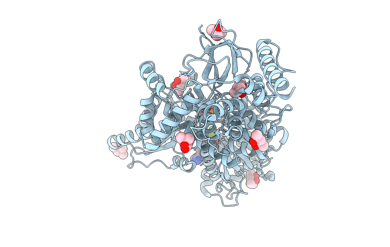 5LTJ image