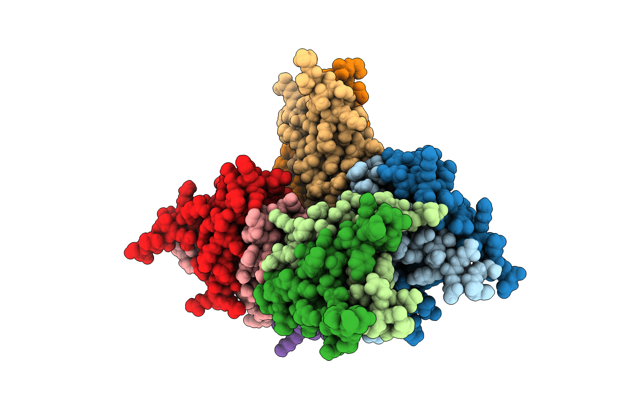 5LUS image