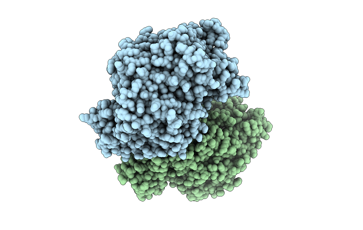 5LUZ image