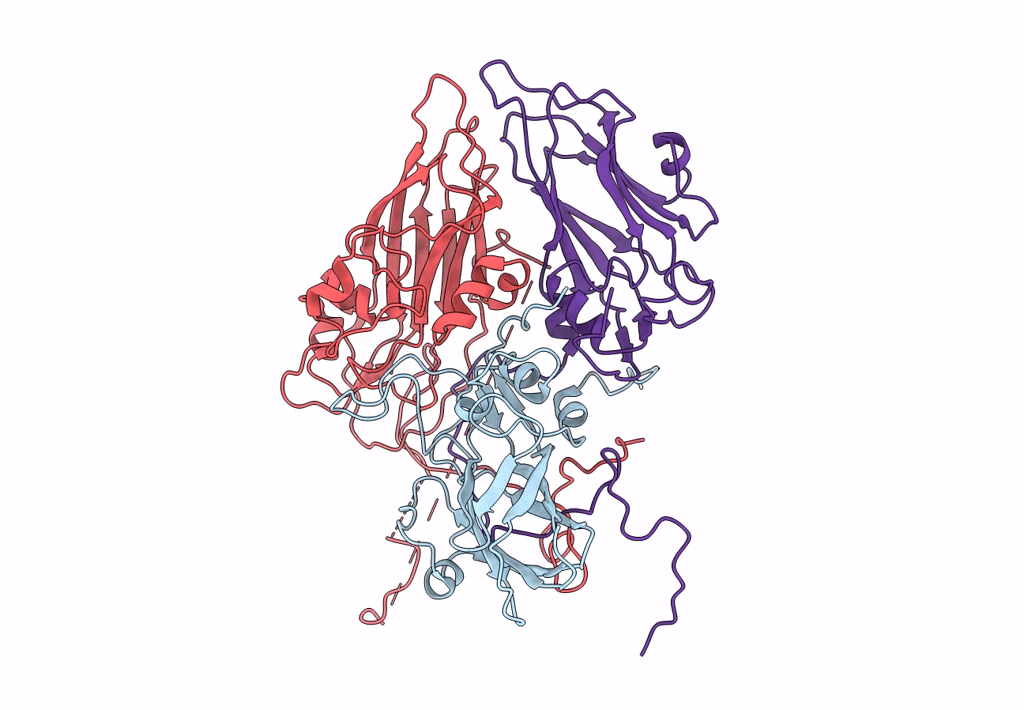 5LVC image