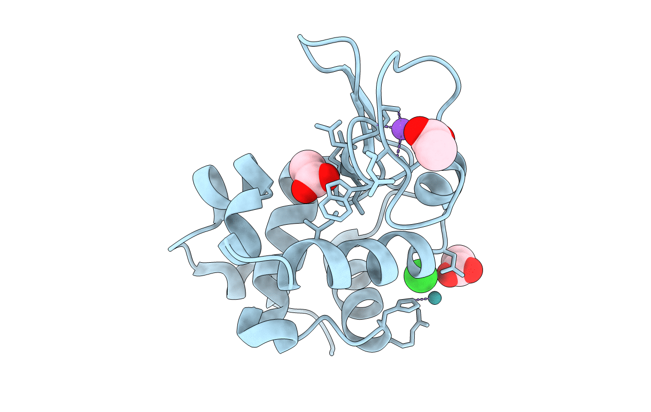 5LVI image