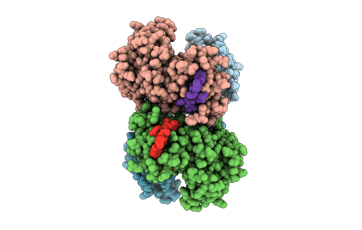 5LVP image