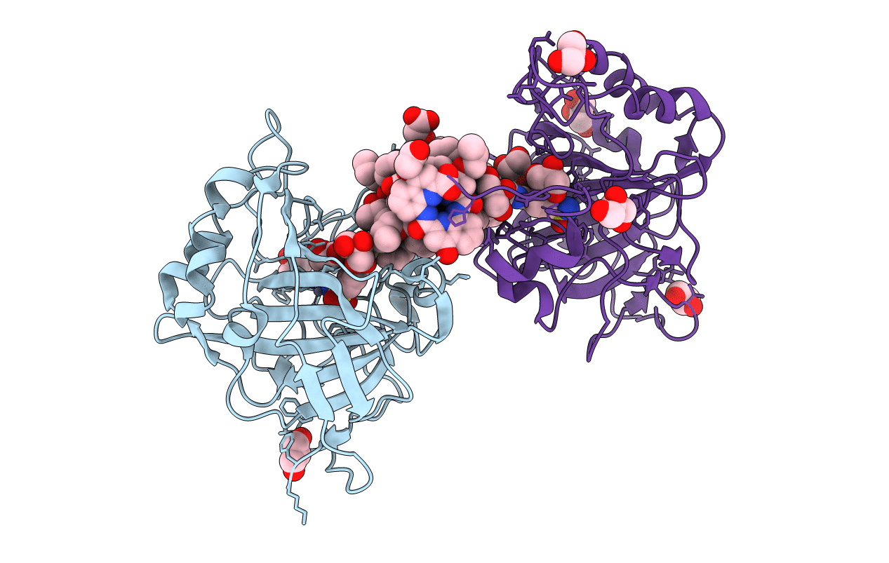 5LVS image