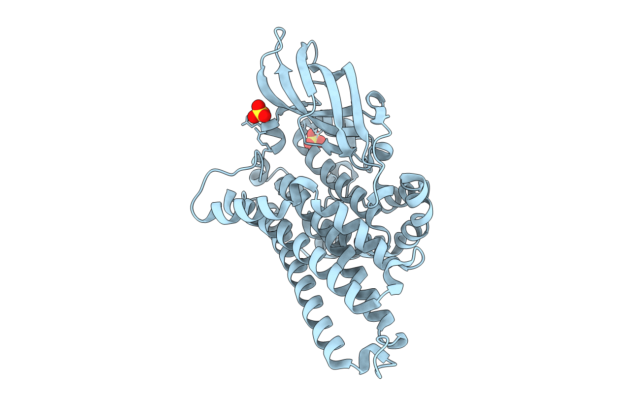 5LVU image