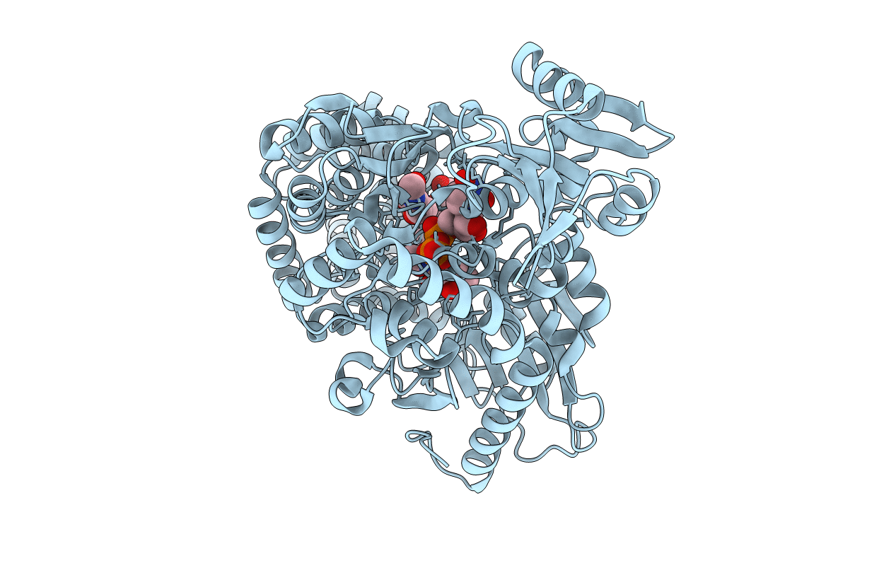5LVV image