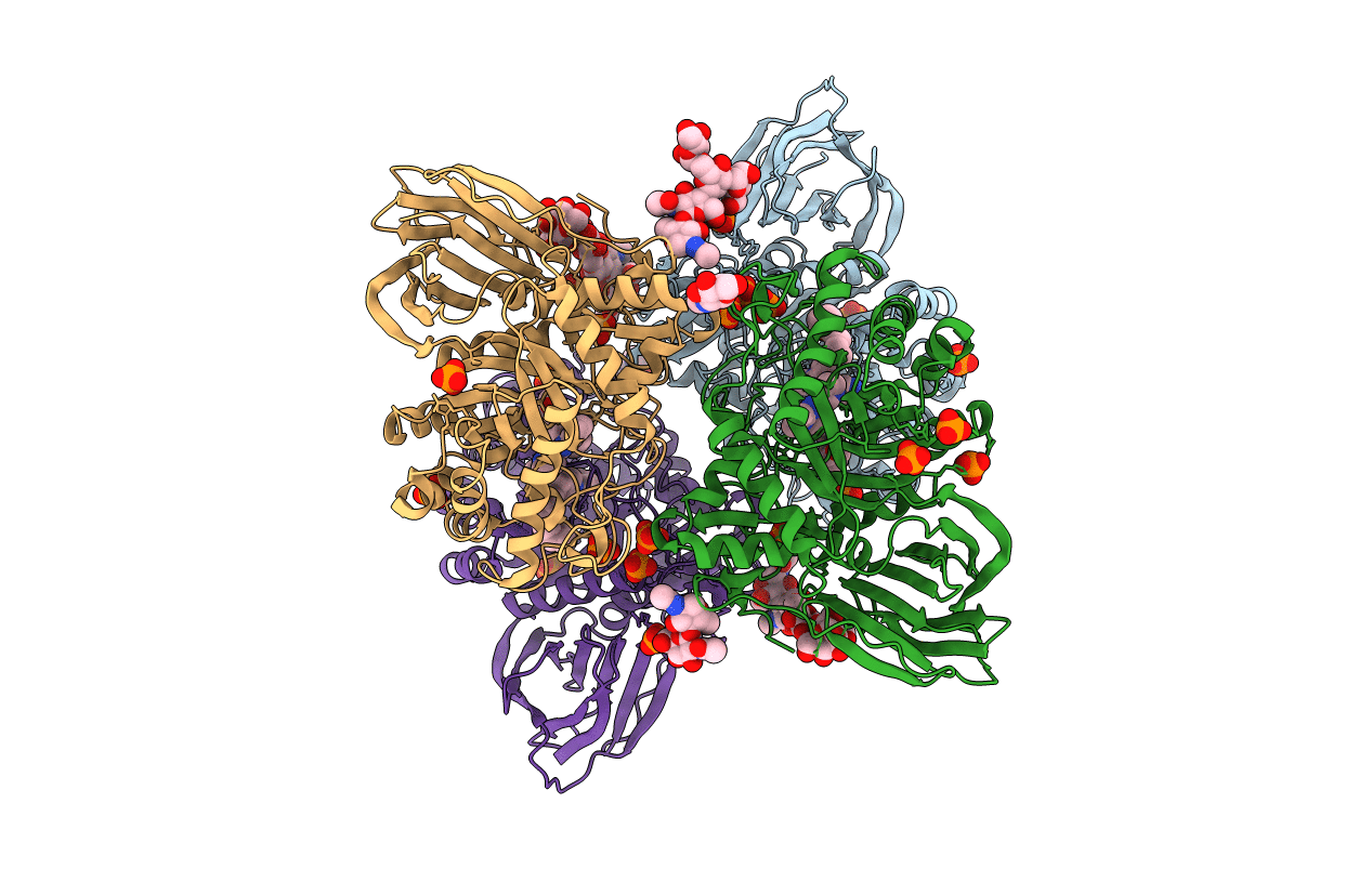5LVX image