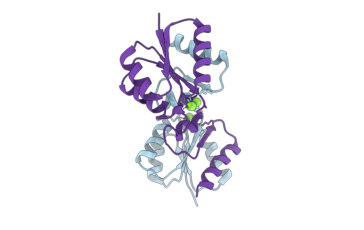 5LWK image