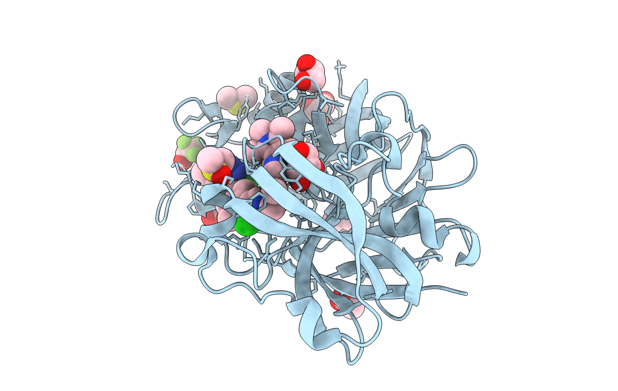 5LWS image