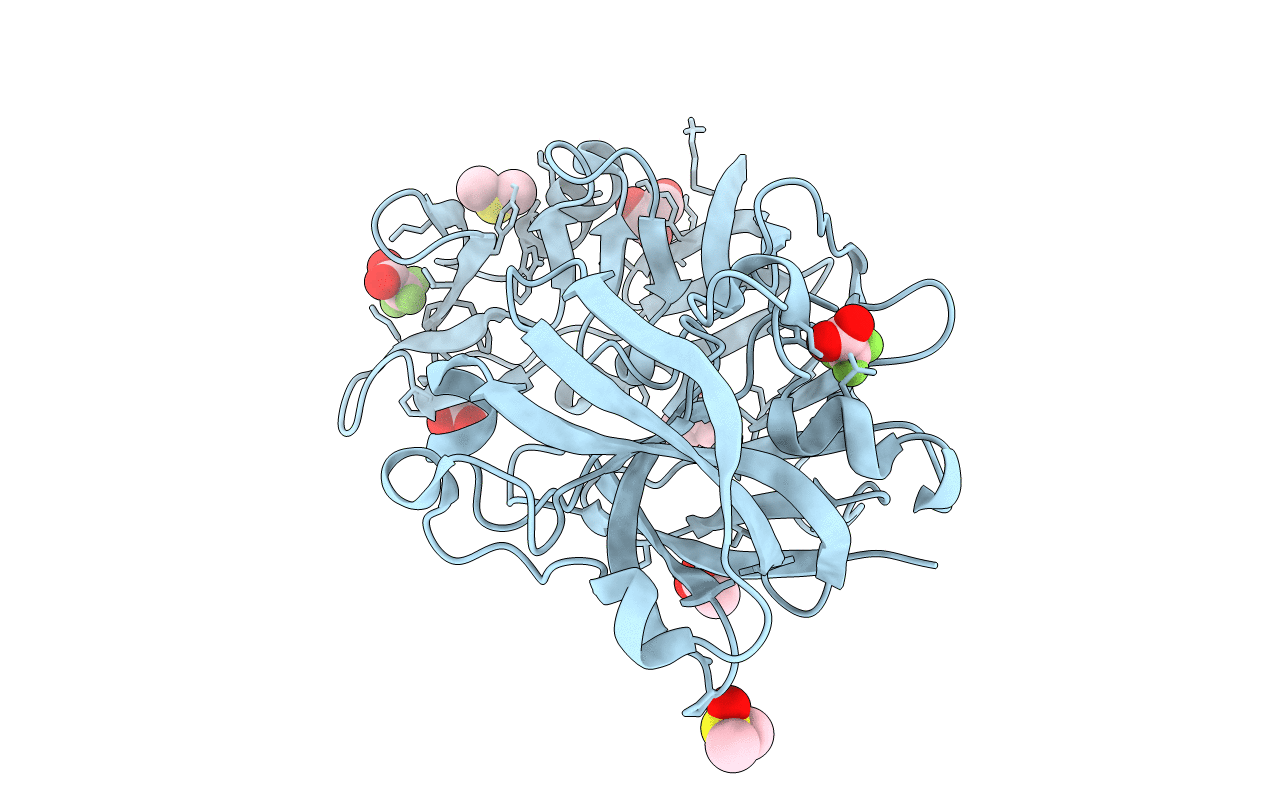 5LWU image